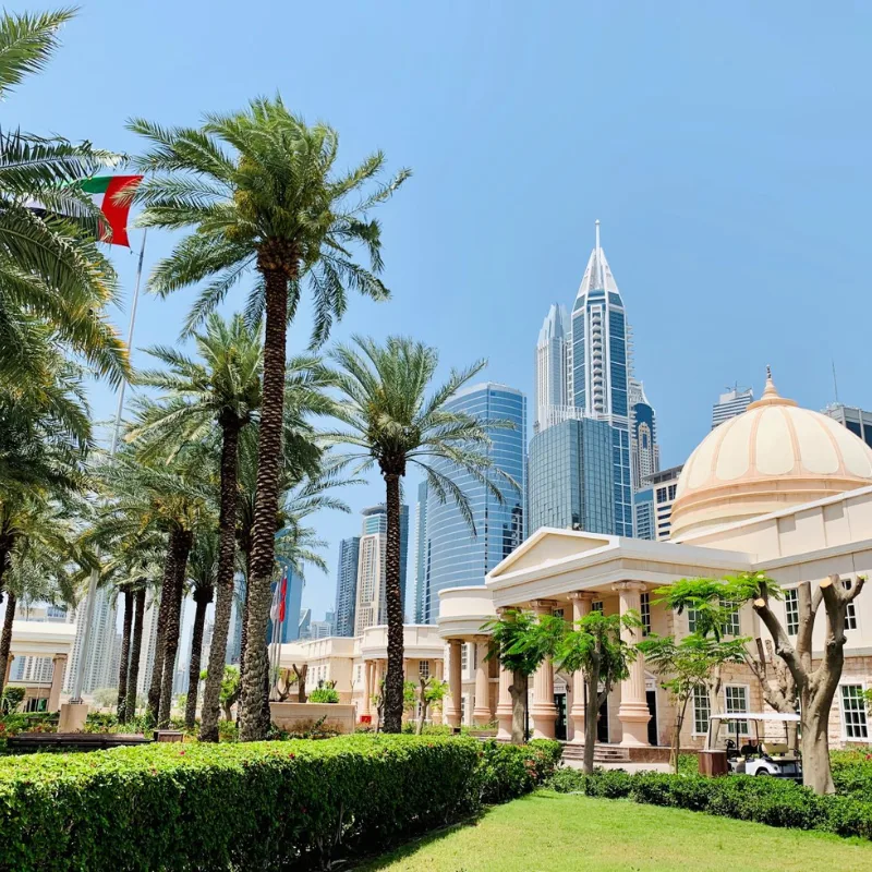 American University in Dubai