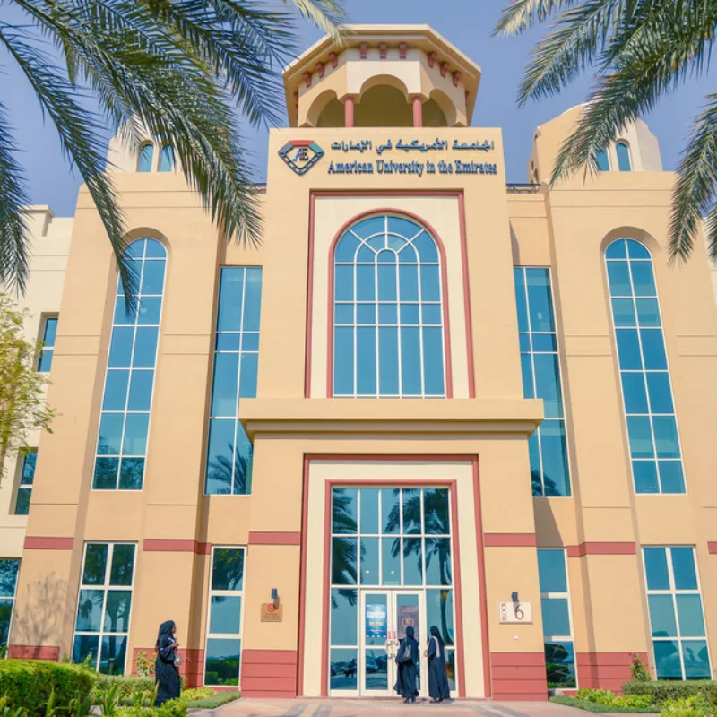 American University in the Emirates
