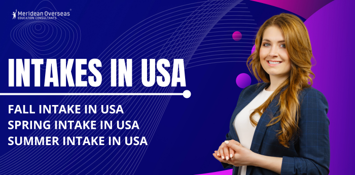 intakes-in-usa-image