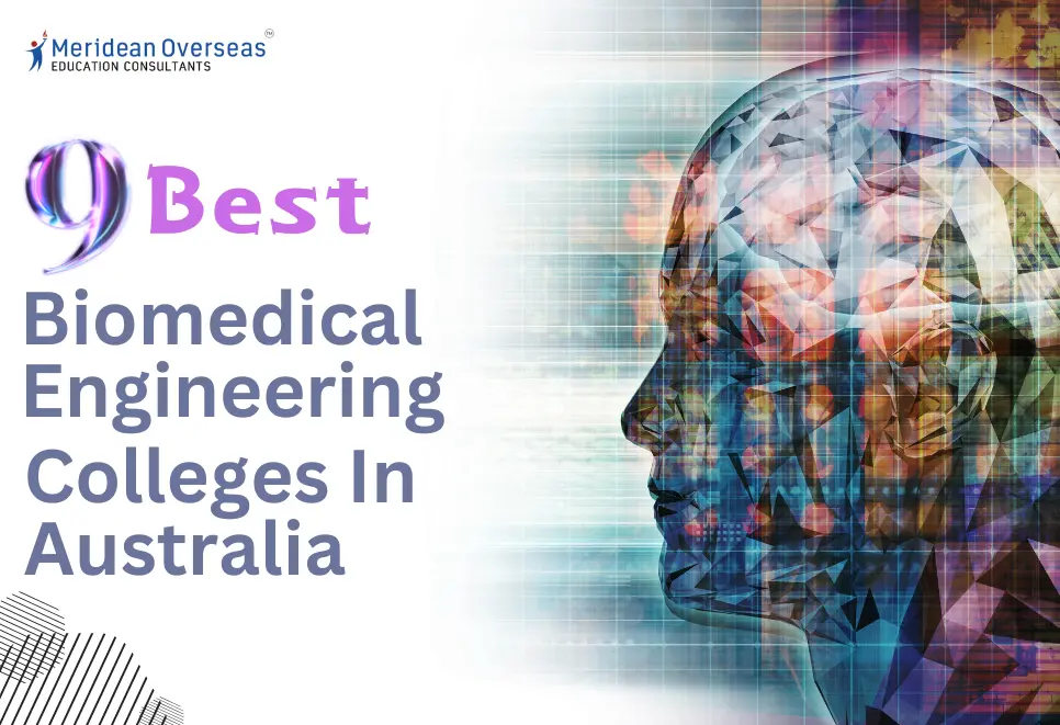 9-best-biomedical-engineering-colleges-in-australia