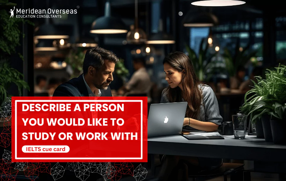 describe-a-person-you-would-like-to-study-or-work-with