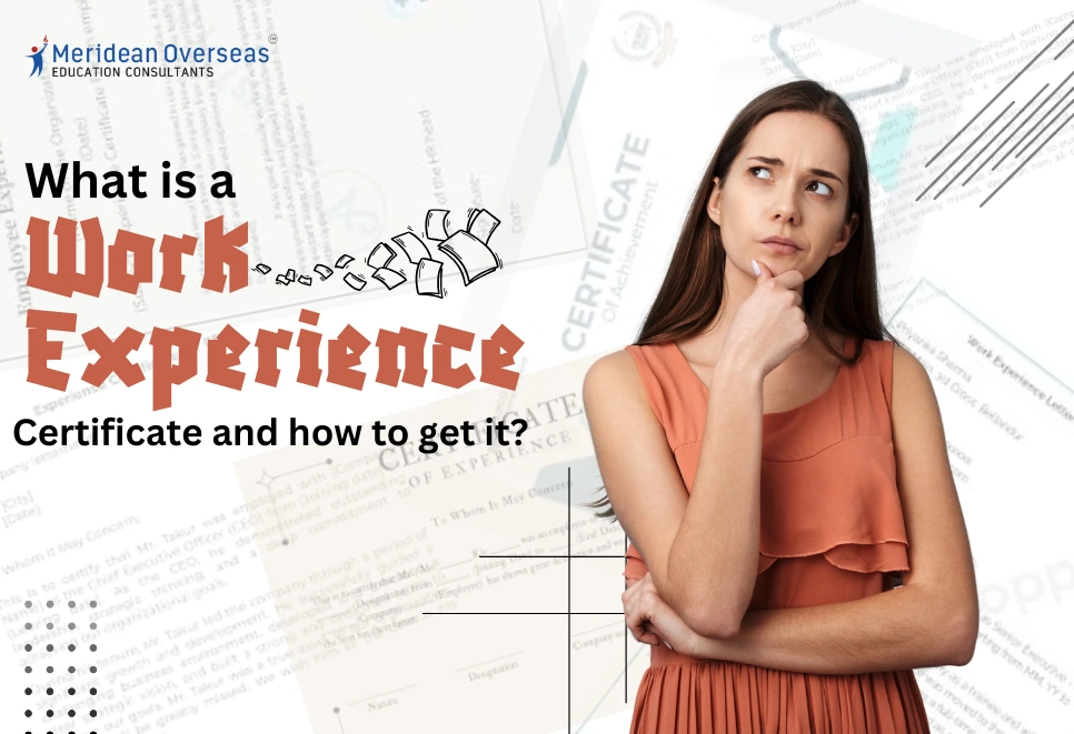 everything-about-the-work-experience-certificate