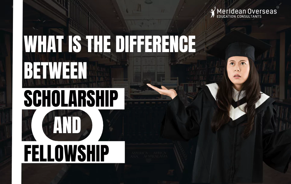 what-is-the-difference-between-scholarship-and-fellowship