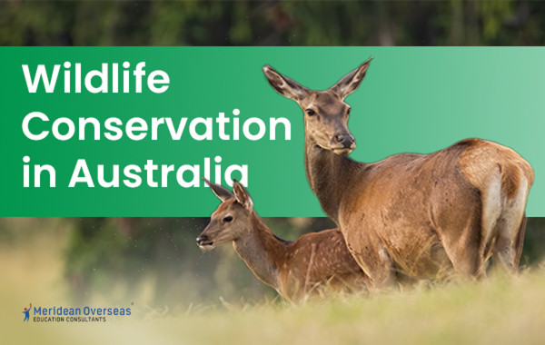 Wildlife Conservation in Australia