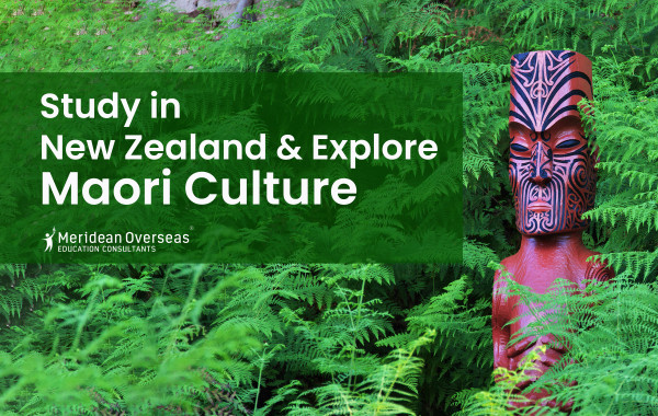 Study in New Zealand and Explore Maori Culture