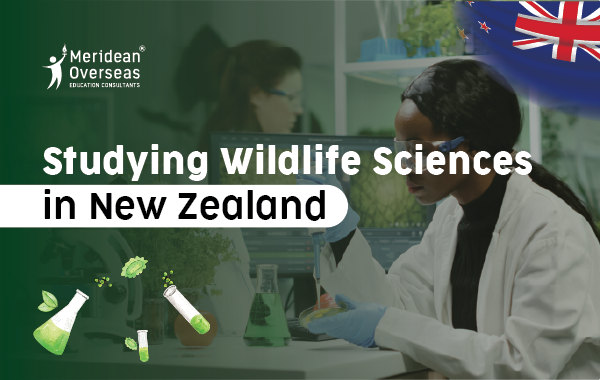 Studying Wildlife Sciences in New Zealand