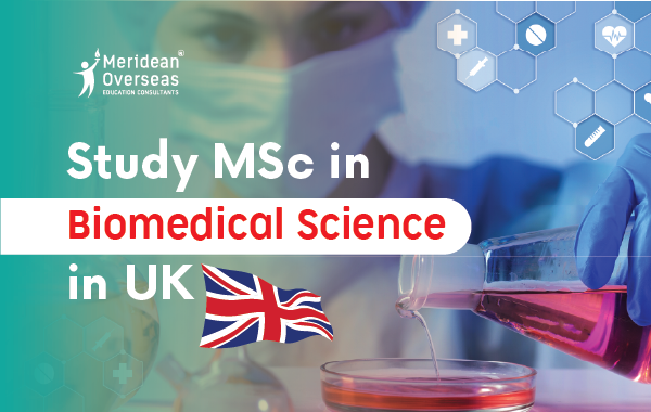 MSc in biomedical science in UK
