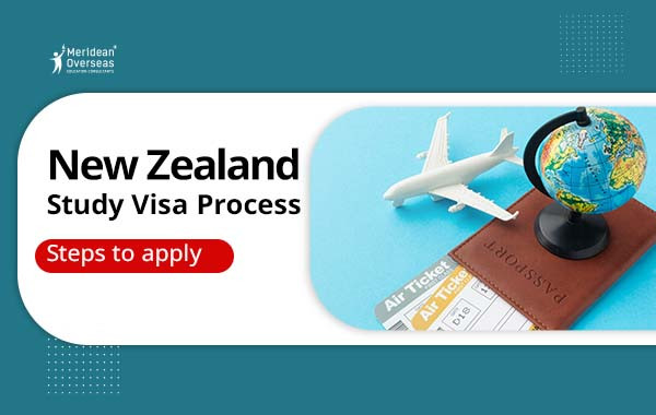 new zealand study visa process