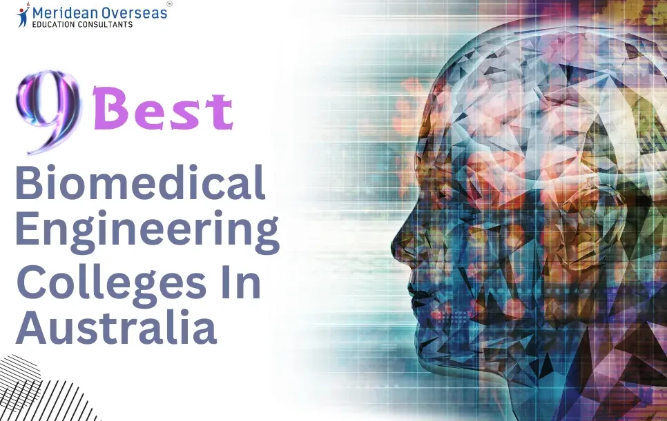 9 Best Biomedical Engineering Colleges In Australia