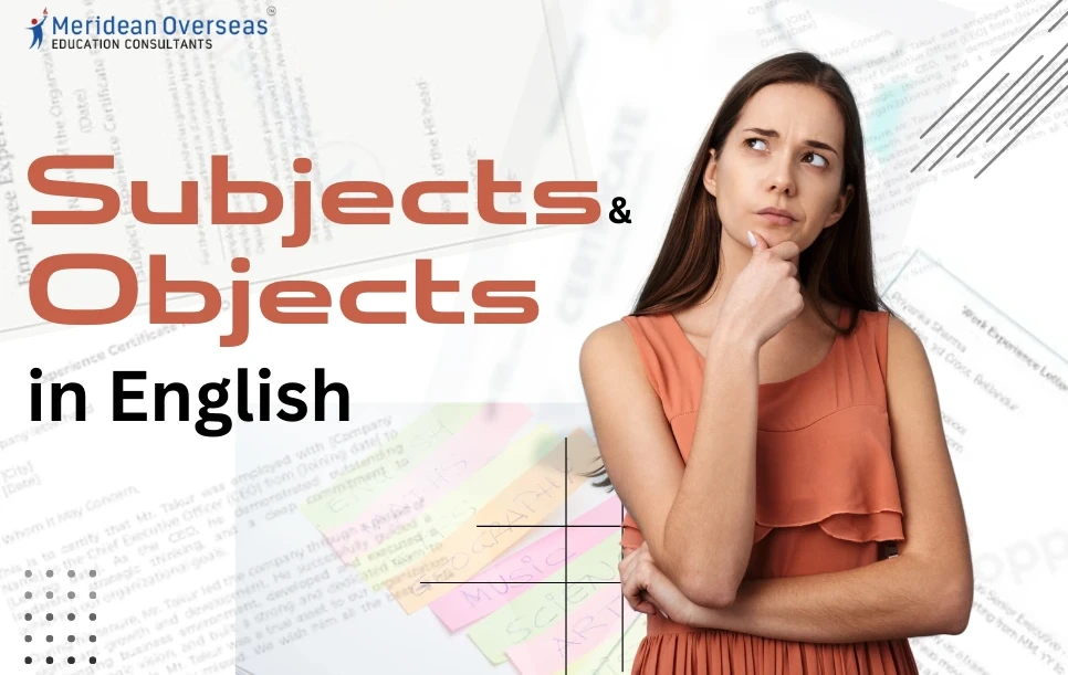 Subjects and Objects in English:  Examples and Quiz