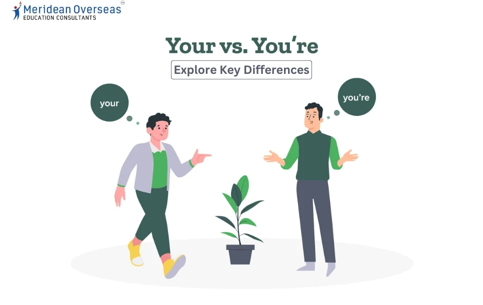 Your Vs You’re: Explore the Key Differences