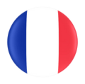 france-flag-logo