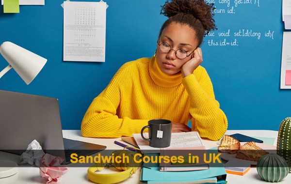 What is Sandwich Courses in UK : Colleges, Courses Advantages