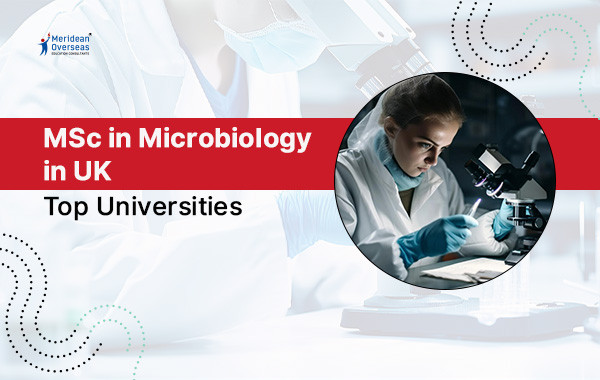 MSc in Microbiology in UK